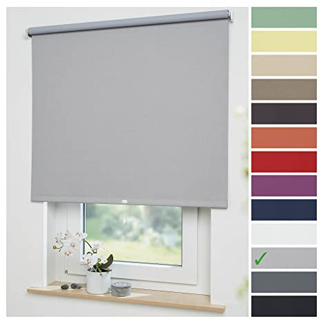 Liedeco® Rollo, Spring-, Schnapprollo / 102 x 180 cm (Breite x Höhe), hellgrau/Verdunkelnd, Abdunkelnd, Blickdicht/viele Farben, Größen und Typen/Breiten 60-200 cm/Variable Montage möglich