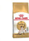 Royal Canin 55191 Siamese 2 kg - Katzenfutter