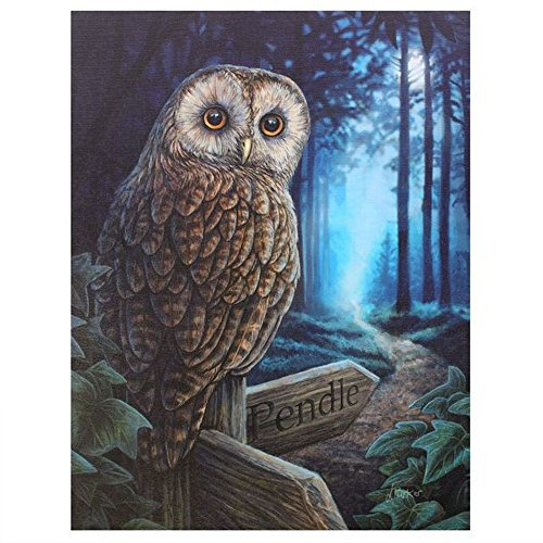 Way of the Hexe – Fantastisches Design von Künstlerin Lisa Parker – Leinwand Bild auf Rahmen Wand Tafel/Wand Kunst