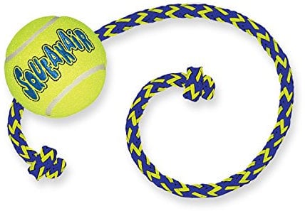 Kong AirDog Squeaker Ball wRope Medium Dog Toy