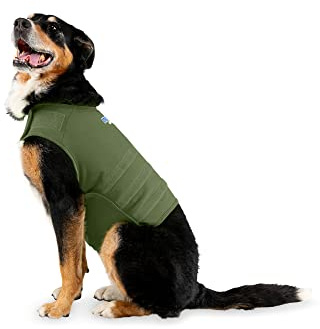 Mellow Shirt Dog Anxiety Calming Wrap, Large, Cypress