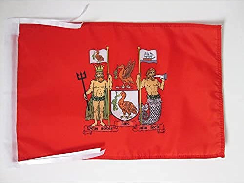 AZ FLAG - Flagge Liverpool - 45x30 cm Mit Kordel - Liverpool Fahne 30 x 45 Cm - Flaggen
