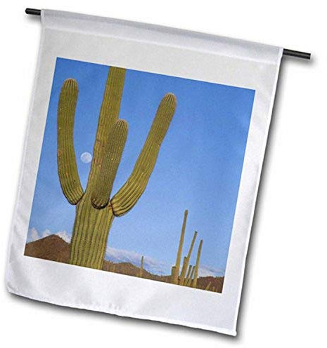 3dRose FL_87948_2 Riesige Saguaro Kaktus Sukkulente, Arizona Us03 Jme0051 Gartenflagge, 45,7 x 68,6 cm