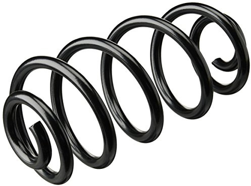 lesjofers 4263499 Coil Spring Rear