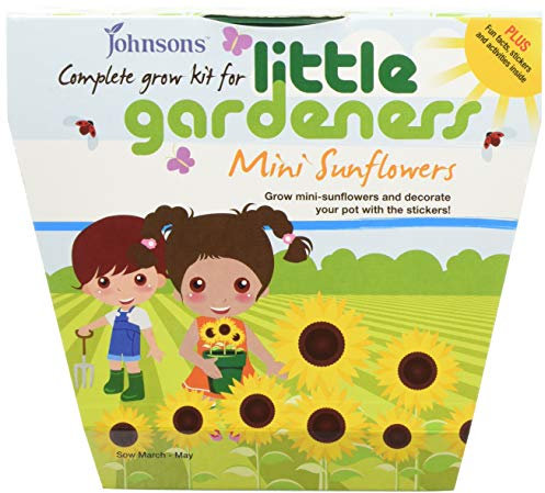 Mr Fothergills 16555 Johnsons Little Gardeners Mini Sunflowers Grow Kit - Multi-Colour
