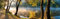 1art1 Forêts Sticker Mural Arbres sur La Rive d'un Fleuve dans La Brume Matinale, 1 Partie Poster Papier Peint Autocollant 240x75 cm