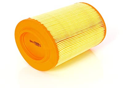 Bosch S0039 - Filtro Aria