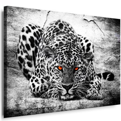 Leinwand Raubkatzen - Panther - Leopard - Panther - Jaguar Bild Wandbilder und Kunstdruck auf Leinwand Bilder gerahmt auf Holzrahmen kein Poster - Günstiger als Ölbild Gemälde - Leinwandbild