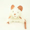 Teddys Rothenburg Folkmanis Handpuppe 2219 Maus, weiß, Plüschpuppe, Mouse, White