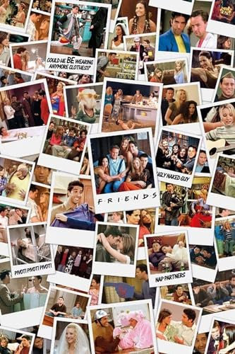 GB eye Friends Polaroids 61 x 91.5cm Maxi Poster