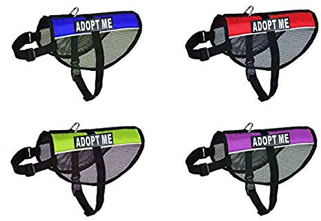 Adopt Me Service-Hundegeschirr, Netzgewebe, kühles Komfort, Nylon, für Hunde, Größe S, M, L, wird mit 2 reflektierenden Adopt Me Patches geliefert. Bitte messen Sie Ihren Hund vor der Bestellung