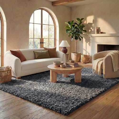 SAFAVIEH California Shag Collection Area Rug - 8' x 10', Dark Grey, Non-Shedding & Easy Care, 2-inch Thick Ideal for High Traffic Areas in Living Room, Bedroom (SG151-8484)