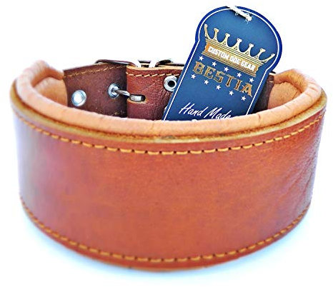 Bestia Echtleder Hundehalsband mit weicher Leder Innenpolsterung. 6,5 cm breit