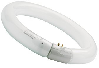 SYLVANIA T9 Leuchtstoff-Lampe, G10q Sockel, 32 Watt / 2400 Lumen entspr. ca: 32 Watt, Warm White (3000K), 16000h Lebensdauer, Ring Form, 29mm Durchmesser, Weißer Kolben, dimmbar, 1er Pack