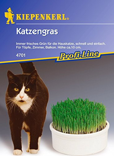 Kiepenkerl