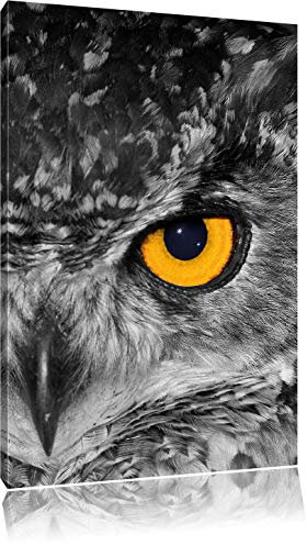 Pixxprint Wunderschöne Eule mit gelben Augen, Größe: 80x60cm, Leinwandbild, fertig gespannt, Wandbild, Dekoration, Kunstdruck, kein Poster