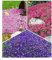 BALDUR Garten Bodendeckende Polsterstauden-Kollektion, 9 Pflanzen 3x Teppichphlox Emerald Pink, 3x Roter Teppichphlox und 3x Blaukissen Cascade Blue, winterharte Stauden, mehrjährig, blühend