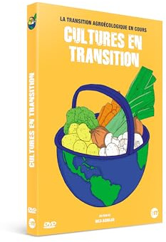 Cultures en transition [FR Import]