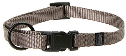 Karlie Art Sportiv Plus Halsband verstellbar neue universal Farben Mix and Match L: 20 - 35 cm B: 10 mm XS grau