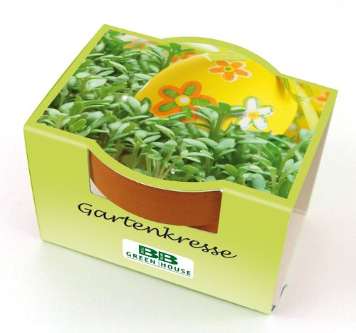 Bull & Bear Mini Pflanzset Gartenkresse Kresse Samen Set mit Tontöpfchen mit Kressesamen und Pflanzsubstrat