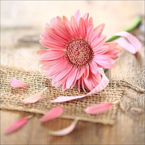 Pro-Art gla990b Wandbild Glas-Art Life in balance II, 50 x 50 cm