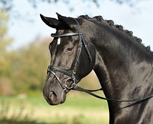 Busse solibel Trense NÜRNBERG, schwarz/silber-oval, Warmblut