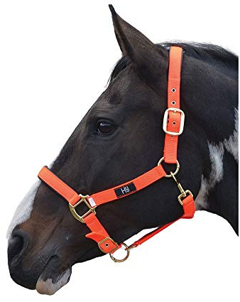 Hy HEALTH Hy Grand Prix Head Collar Cob Hot Orange