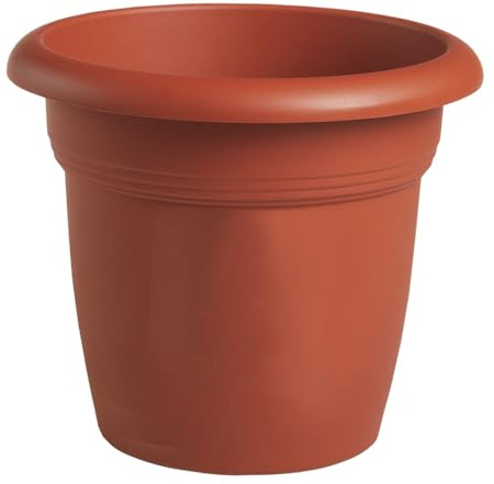 Tildenet 82550 55 x 41 cm, Terra Mediterraneo