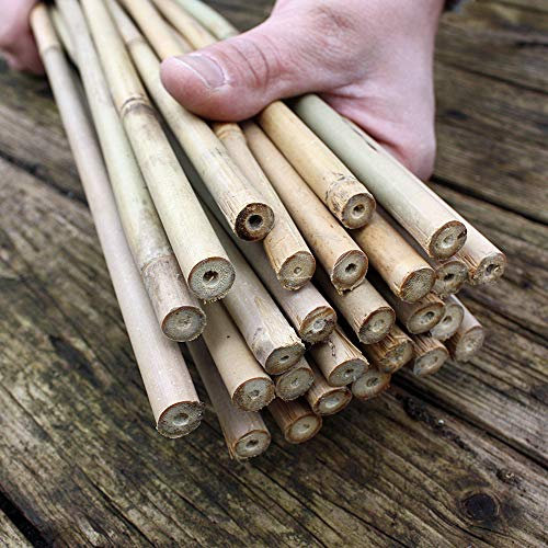 100 Bambusstäbe - Bambusstangen 152 cm lang/ 10-12 mm dick