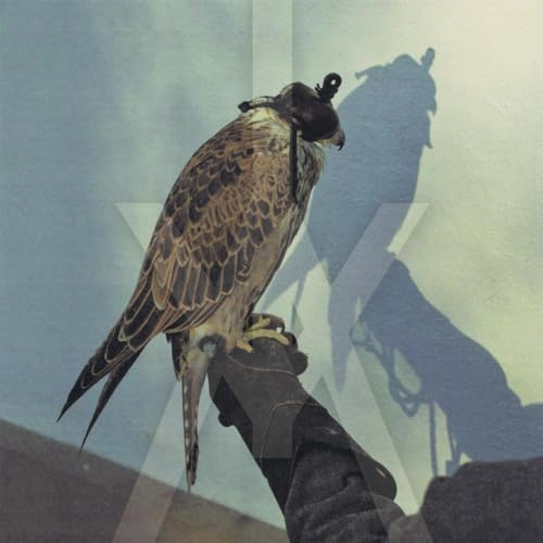 Matador/Beggars Group / Indigo