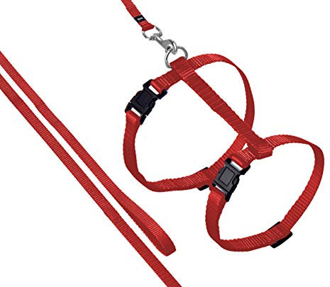 Karlie Art Sportiv Plus Geschirr und Leine L: 110 cm rot