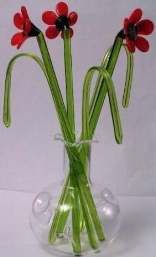 Lyndas Gifts Fleurs en verre cadeau dans un vase Coquelicots
