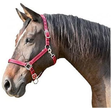 Kerbl Halfter Mustang 2-Fach verstellbar, Rot/Schwarz, 3, 321971