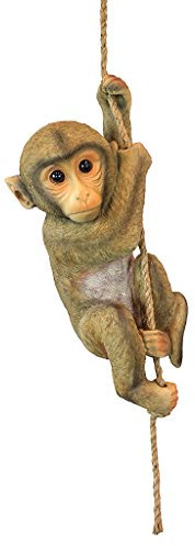 Design Toscano Chico das Baby-Schimpansenäffchen Hängende Tierstatue, Polyresin, Vollfarbe, 40,75 cm