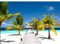 Runa Art Fototapeten 396 x 280 cm Strand Meer Palmen - Vlies Wanddekoration Wohnzimmer Schlafzimmer - Deutsche Manufaktur - Blau Grün Weiss 9035012b