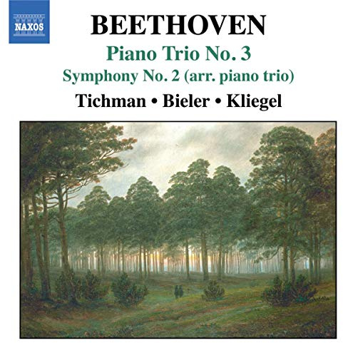 Piano Trio No.3 Symphony No.2