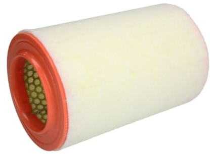 Filtron Air Filter Ar234/6