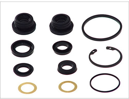 AUTOFREN SEINSA D1569 Reparatursatz Hauptbremszylinder Kompatibel mit RENAULT Clio 3 Schrägheck BR0/1, CR0/1 4601000QAL 7701205407