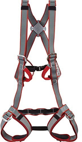 Kitten Tom Harness by DMM