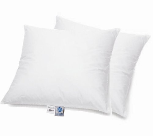 Schäfer 2-STK. Basic Kopfkissen Federkissen 100% Gänse Federn 80x80 cm