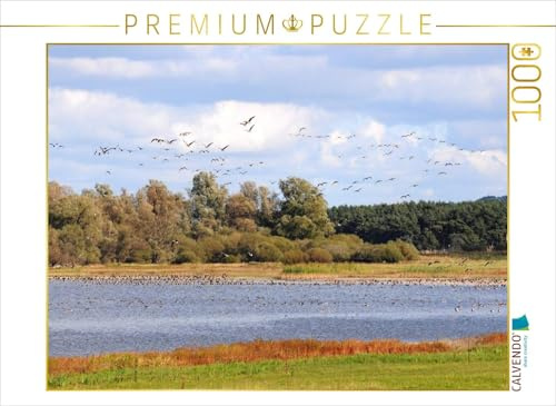CALVENDO Puzzle Wildgänse am Gülper See | 1000 Teile Lege-Größe 64 x 48 cm Foto-Puzzle für glückliche Stunden