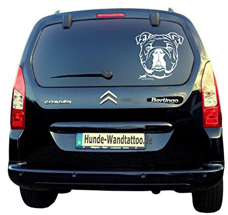 amberdog Autoaufkleber Englische Bulldogge Kopf Art.Nr.ATK0134 Auto Aufkleber Wohnmobil Wohnwagen Hundekopf