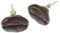 Miniblings Kaffeebohne Ohrstecker Stecker Ohrringe Kaffee Café Bohne Espresso 3D - Handmade Modeschmuck I Ohrringe Stecker Ohrschmuck