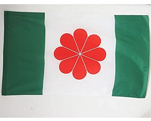 AZ FLAG - Flagge Taiwan Unabhängigkeits - 150x90 cm - Nationalisten Fahne 90 x 150 Cm Scheide Für Mast - Flaggen