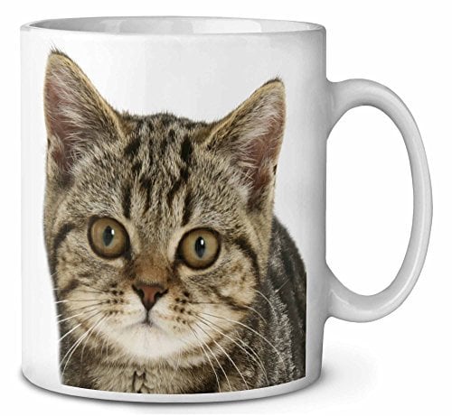 Advanta Group Face of Brown Tabby Cat Ceramic 10oz Coffee Mug/Tea Cup Printed Full Colour Ref:AC-191MG