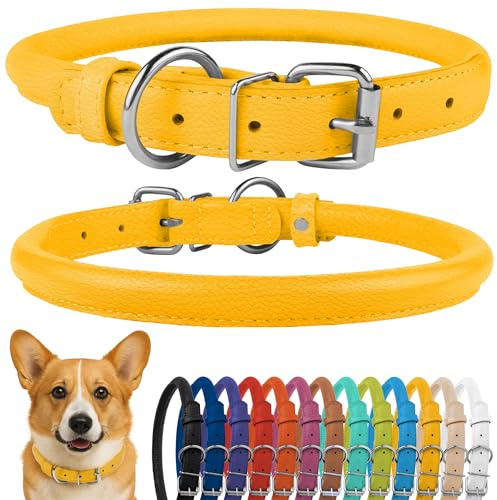 CollarDirect Rundes Leder Hundehalsband, weich gepolstert gerollt, handgefertigtes Echtleder Halsband für Hund Welpe Katze Klein Groß Schwarz Rosa Rot Lila Blau