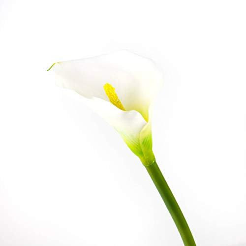 artplants.de Calla Artificiale, Bianco, Naturale al Tatto, 70cm, 8x12cm - Fiore Artificiale Naturale al Tatto/Fiore Ornamentale