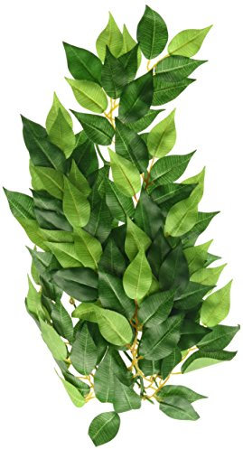 Exo Terra PT3040 plantes pour terrarium - ficus medium