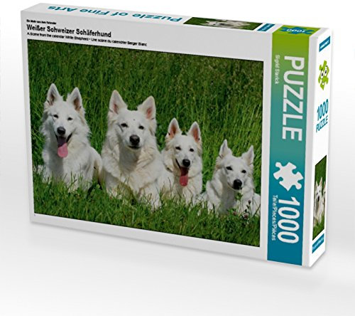 CALVENDO Puzzle EIN Motiv aus dem Kalender Weißer Schweizer Schäferhund 1000 Teile Puzzle quer | 1000 Teile Lege-Größe 64 x 48 cm Foto-Puzzle für glückliche Stunden