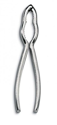 AUSONIA - 71310 Casse-Noix Casse Noisette Pince Casse Noisette, Pince Casse Noix Manuel en Acier INOX